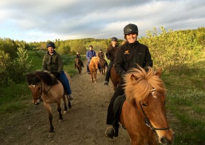 Sleipnir Evening Horse Riding Tour