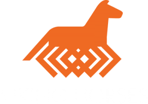 Viking Horse Iceland horses riding tours